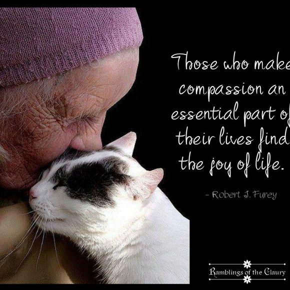 Welcome to the Robin's Nest - Picture 13 of 16